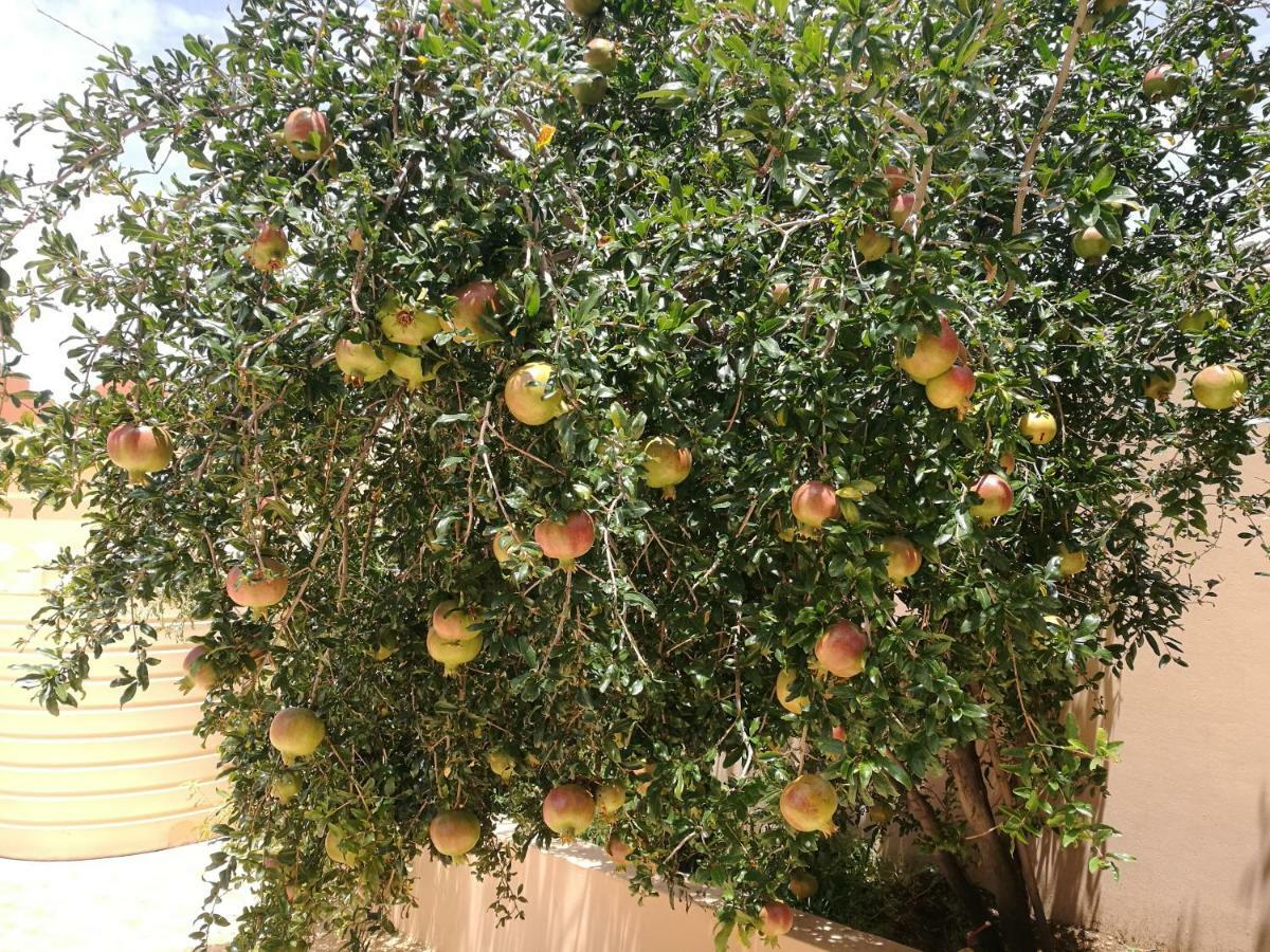 Salassel Al Jabal Al Akhdar Guesthouse Al 'Aqar Buitenkant foto